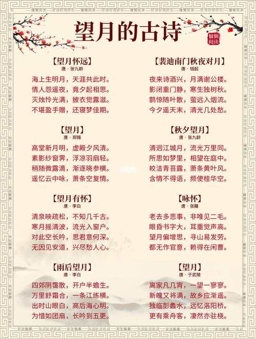 望月古诗写法如何？