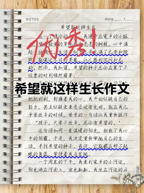 希望作文素材，如何写出新意与深度？