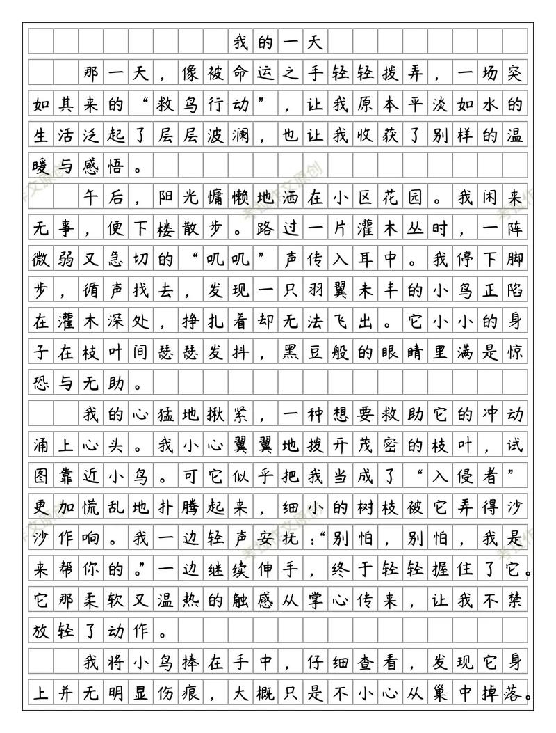 中学生作文700字,如何写出彩?
