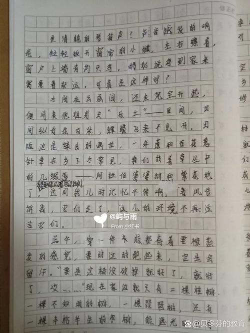 中学生作文700字,如何写出彩?