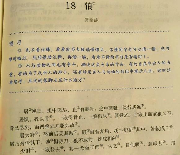 狼是古诗还是古文？