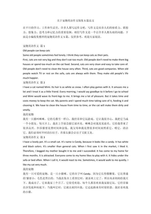 宠物英语作文该从何写起？