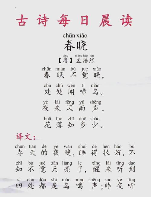 小学课本古诗春晓试讲
