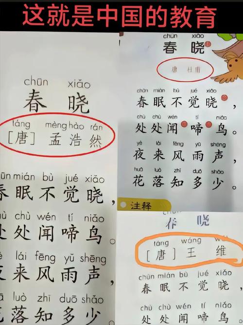 小学课本古诗春晓试讲