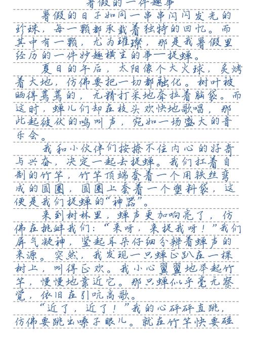 暑假趣事作文400字里藏着哪些小惊喜？