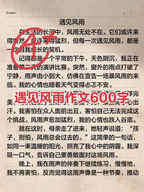 600字作文如何快速写出彩？