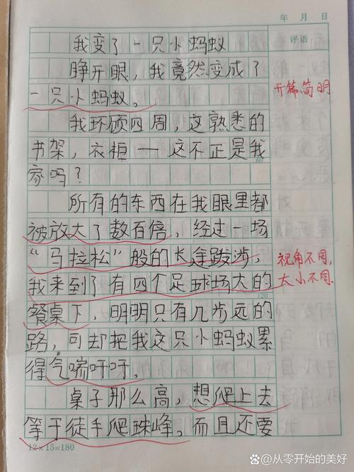 作文我变了600字，变的是啥？