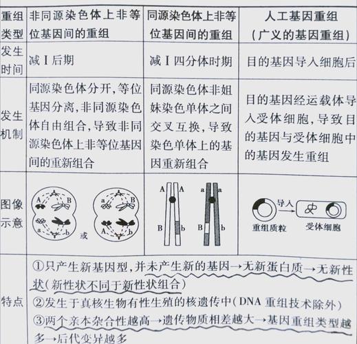 遗传与变异的本质是什么？