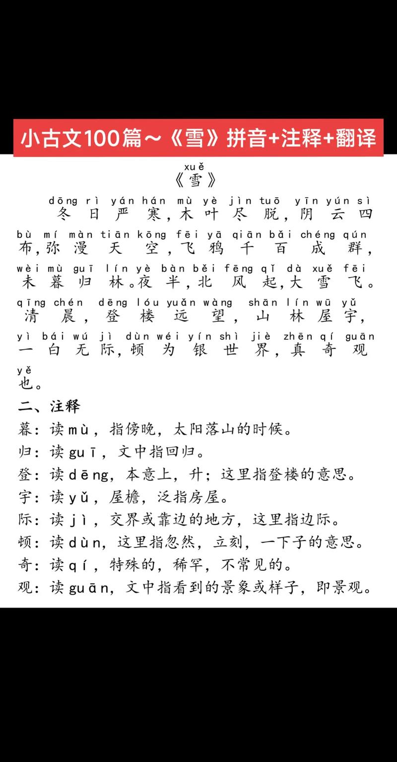 雪中鲁迅寄托了怎样的复杂情感？