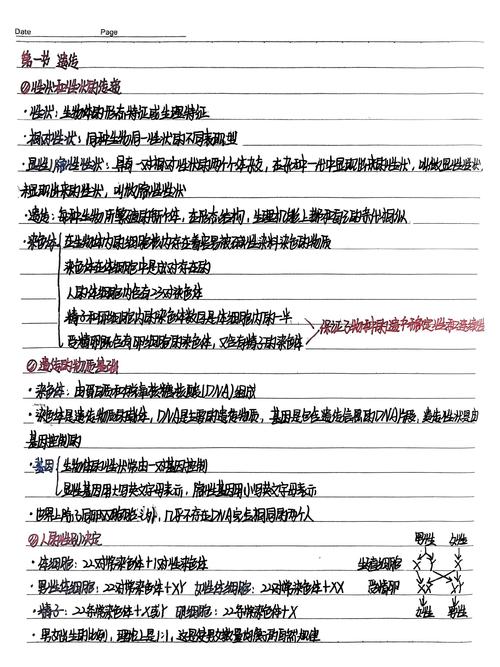 生物八年级下册第二章核心知识点是什么？