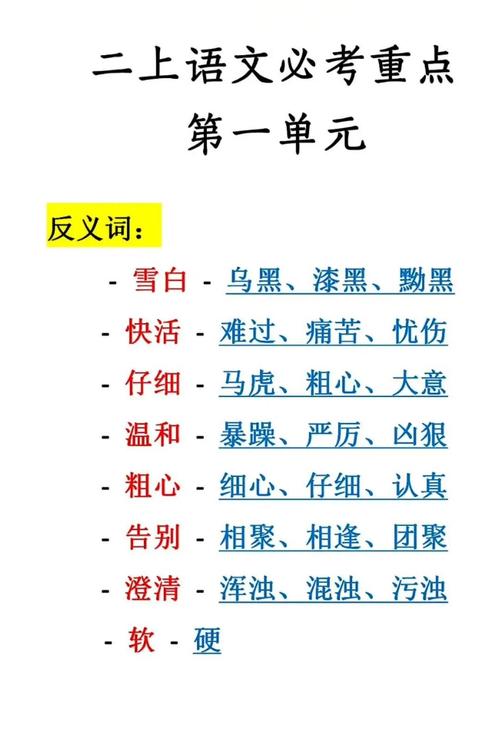 二年级语文上册反义词有哪些常见类型？