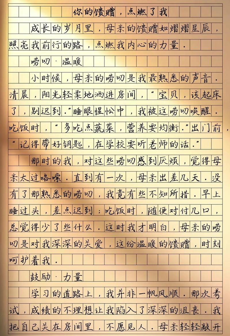 给了我 作文