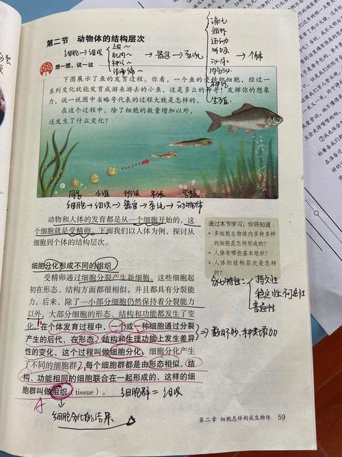 七年级上册第二章生物核心知识点有哪些?