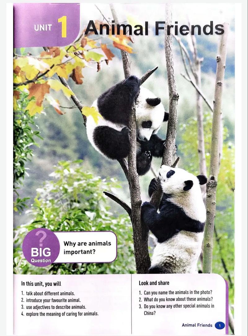 七年级下册Unit1核心知识点有哪些?