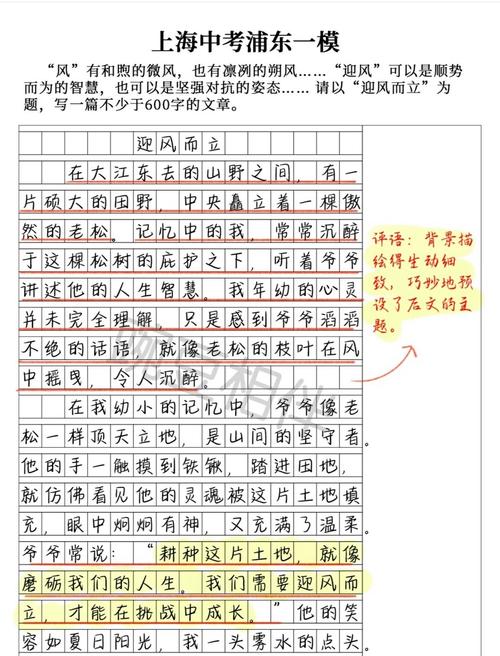 迎风前行,作文如何写出800字的迎风力量?
