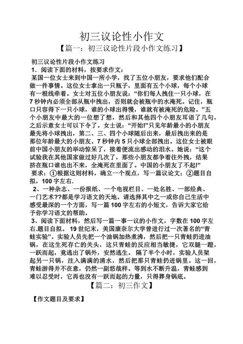 中考议论文满分作文有何秘诀？