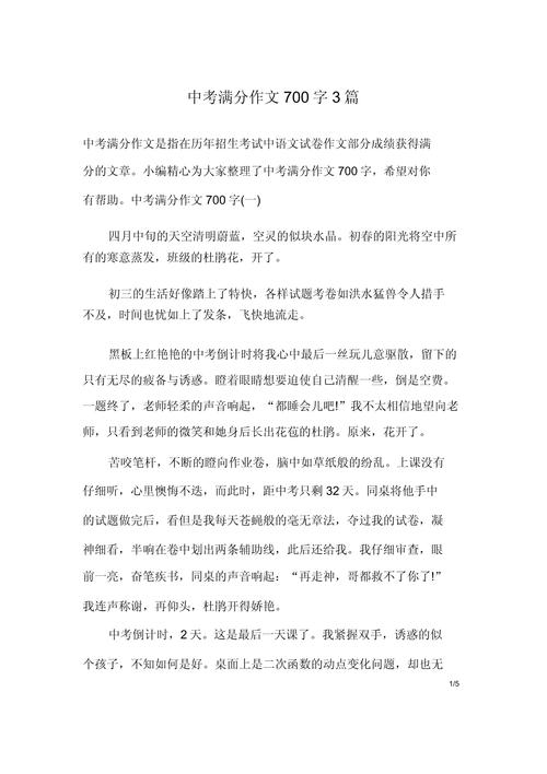 中考满分作文700