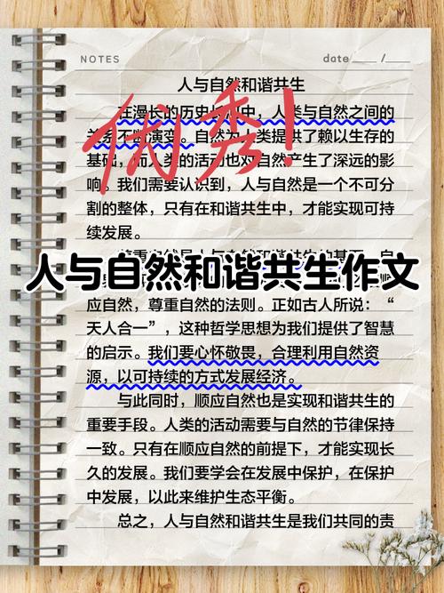 人与自然该如何和谐共处？