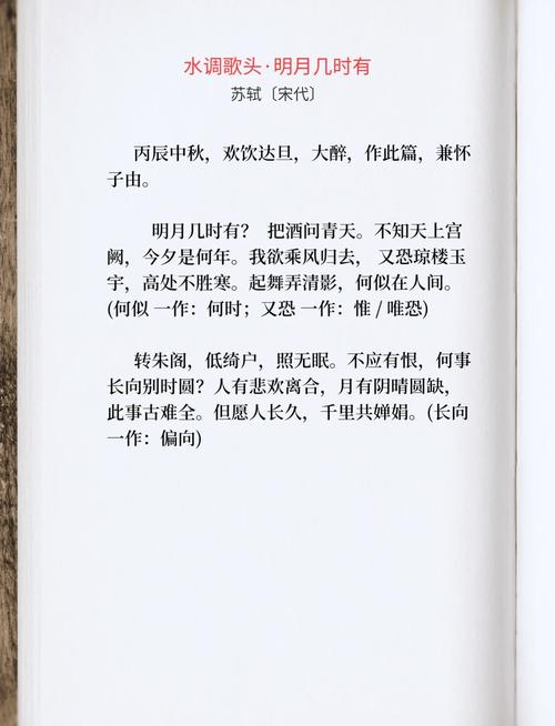 水调歌头古诗阅读答案是什么？