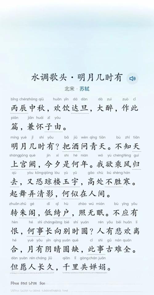 水调歌头古诗阅读答案是什么？