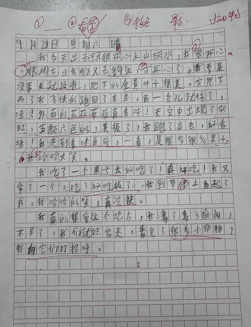 作文的另一面,藏着怎样的真实与成长?