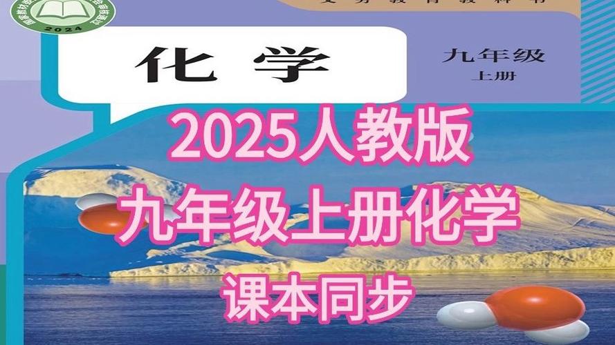 2025年九年级化学