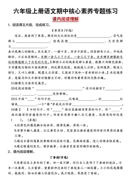 人教版六年级课内阅读重点是什么?