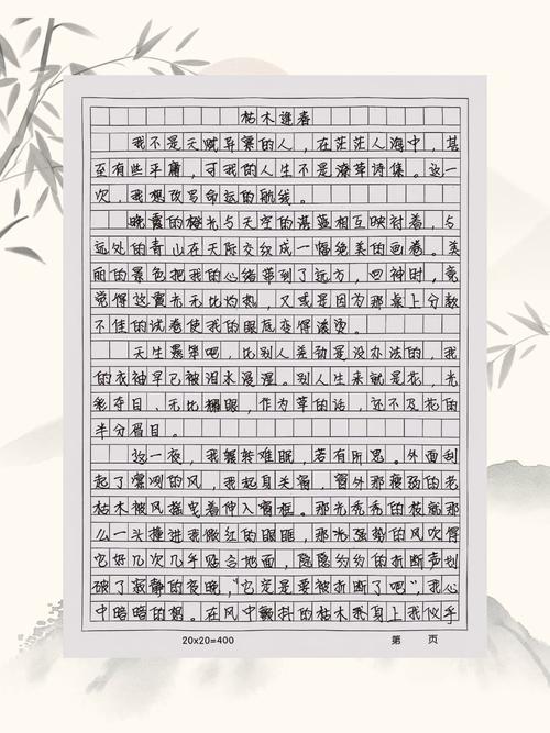 万能语文作文模板真的能包打天下吗?