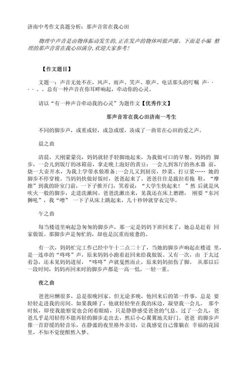 声音中考满分作文
