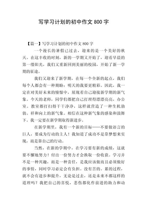 中考前的计划作文