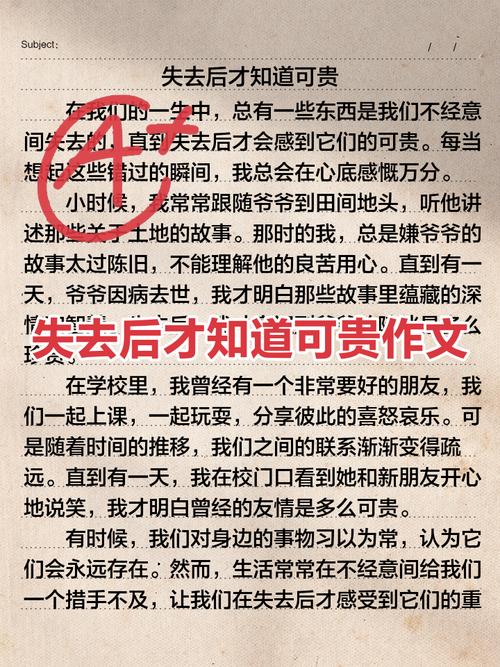 什么是可贵的作文，贵在何处？