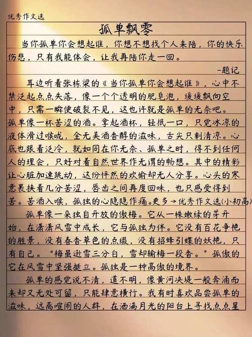 有你为何就不寂寞了?