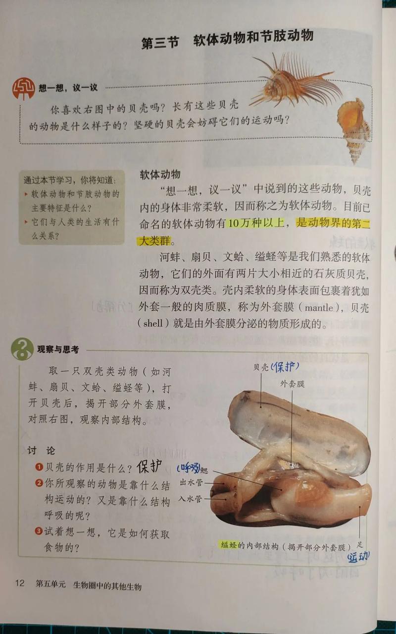 八年级上册生物第一章