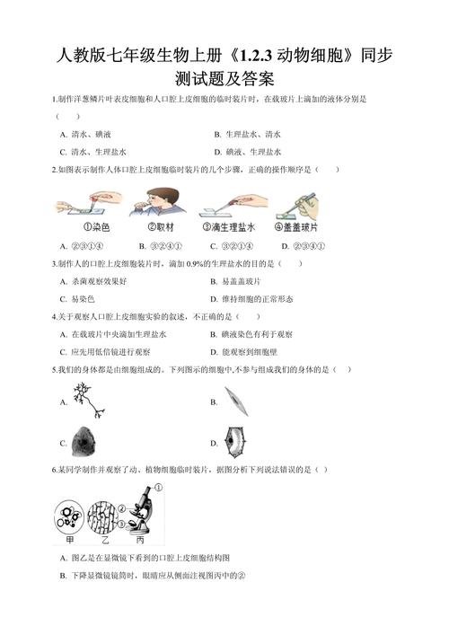 七年级生物上册测试题重点难点有哪些?