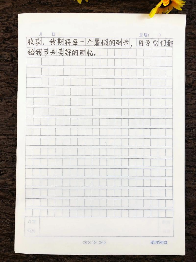 暑期作文100字