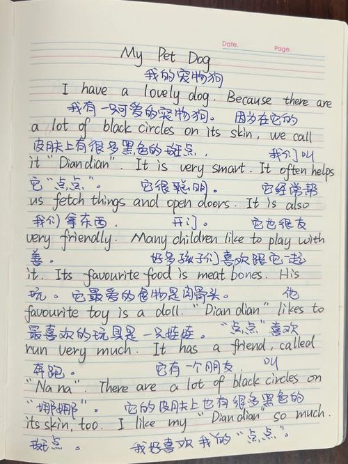 宠物英语作文该如何写？