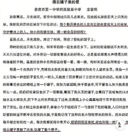 娄底中考语文作文