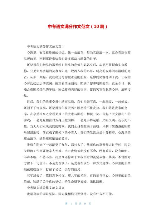 娄底中考语文作文