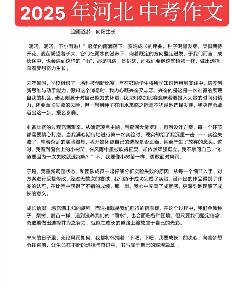 2025年，我走过的路藏着什么故事？