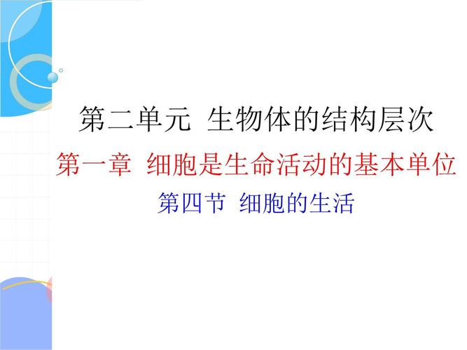 生物七年级上册ppt