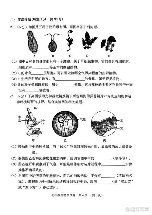 人教版七年级生物期末考什么重点？