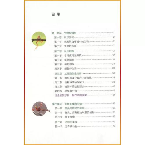 人教版七年级上册目录有哪些重点内容？