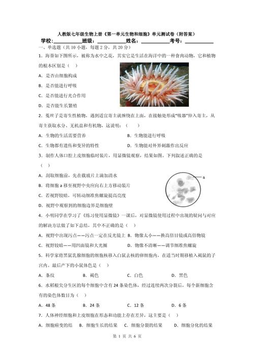 人教版七年级生物试卷重点难点解析？