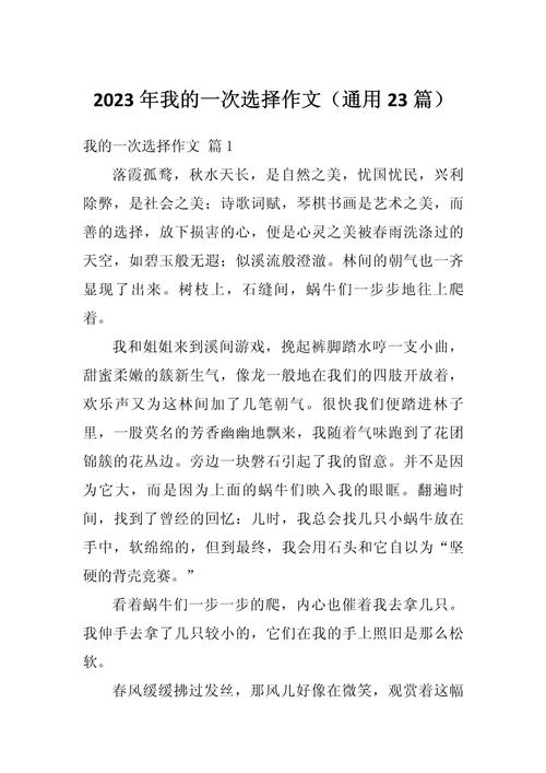 一次正确选择作文