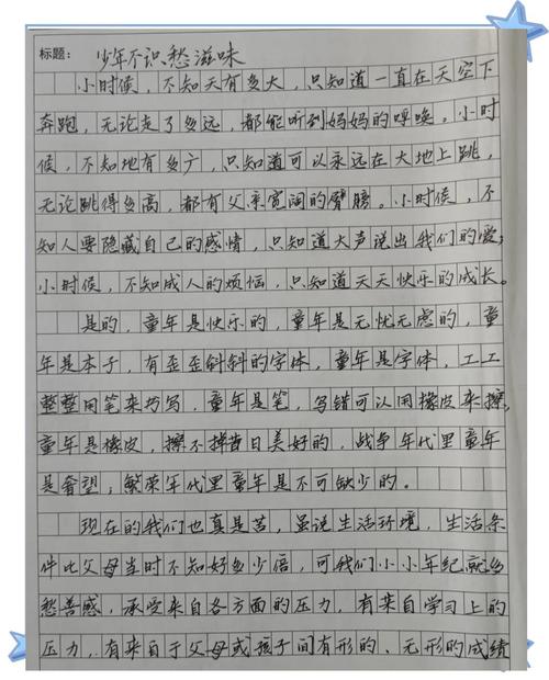 江苏高考作文点评