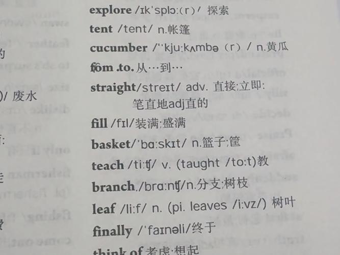 七年级下册七单元单词怎么高效记？