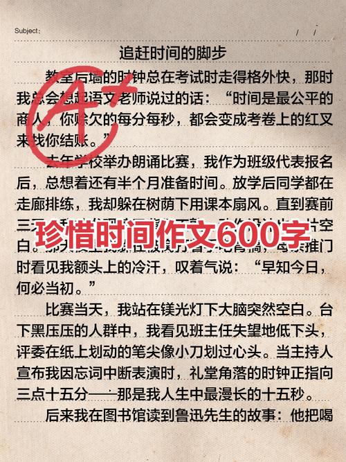 中考满分作文珍惜