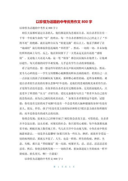 中考满分作文珍惜