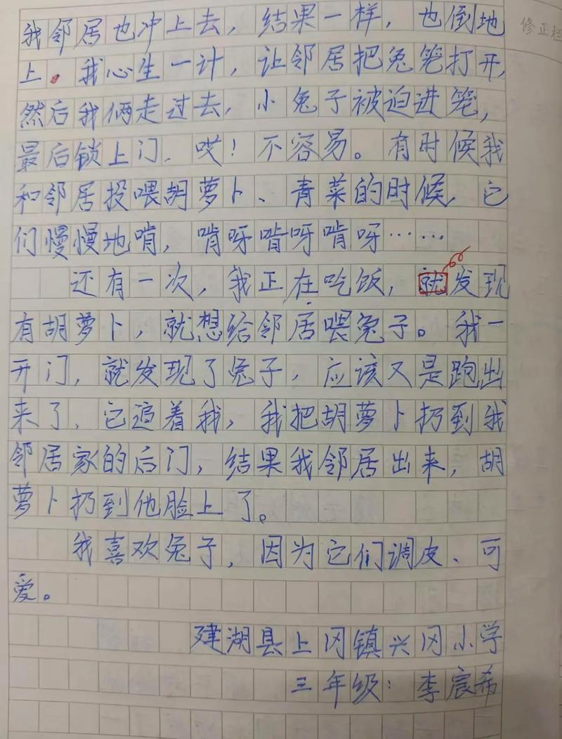 如何有效辅导学生写出好作文？