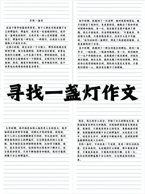 《寻找》满分作文